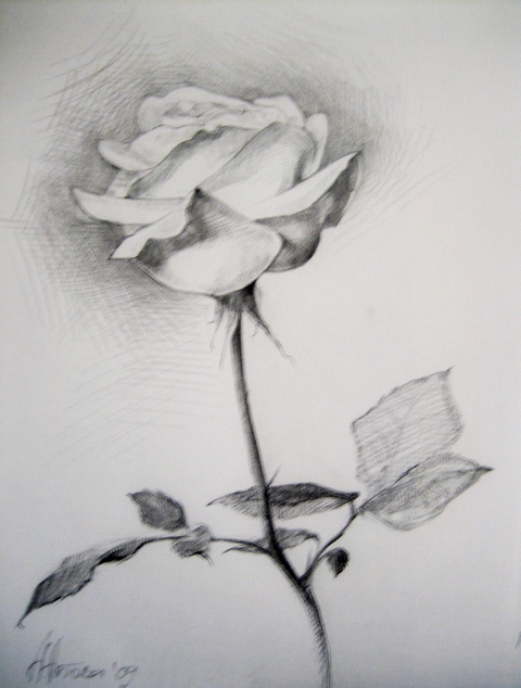 Роза в гръб /Собственост на Ивелина Грозева/ || Молив / Pencil || 2008